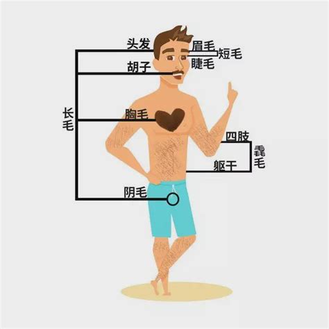 長一根很長的白毛|身上有一根毛特别长，是长寿象征，还是癌变前兆？